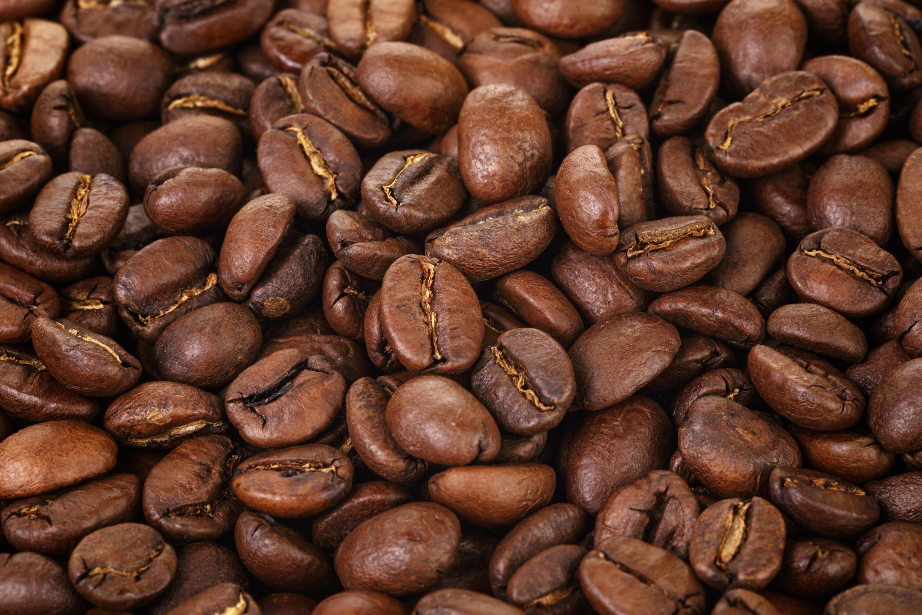 Premium Bean Selection