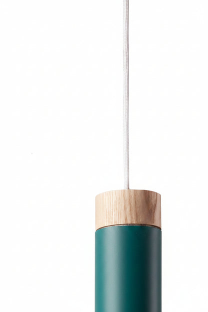 Modern Wooden & Coral Pendant Light
