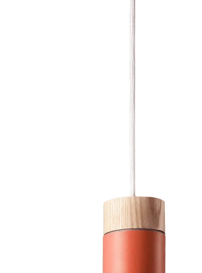 Modern Wooden & Coral Pendant Light